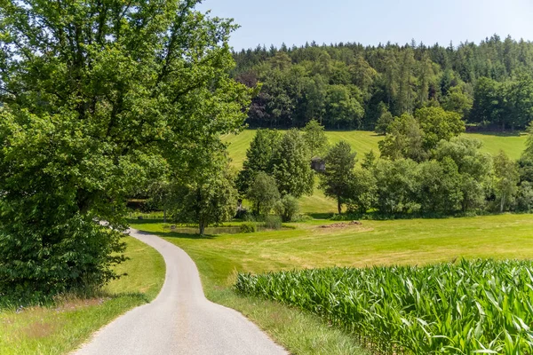 Idyllische Landschaft Rund Wiesenfelden Bayerischen Wald Zur Sommerzeit — Stockfoto