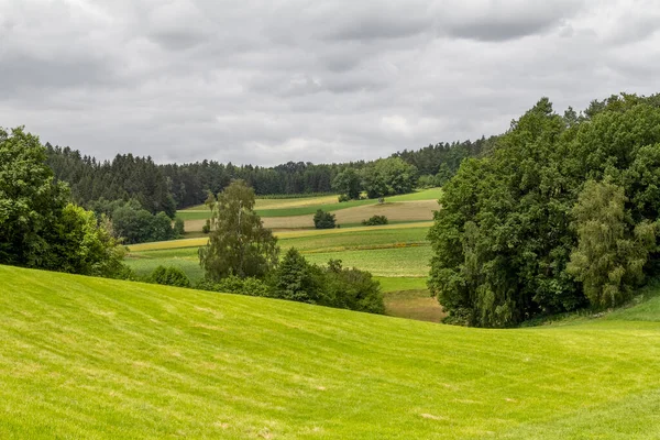 Idyllisch Landschap Rond Wiesenfelden Het Beierse Woud Zomer — Stockfoto