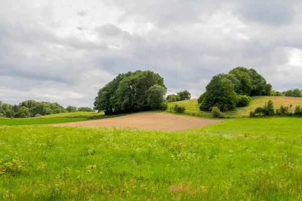 夏にはバイエルンの森のヴィーゼンフェルデン周辺の牧歌的な風景 — ストック写真