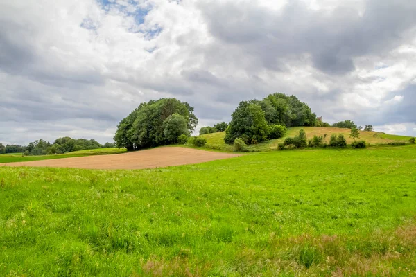 Idyllische Landschaft Rund Wiesenfelden Bayerischen Wald Zur Sommerzeit — Stockfoto