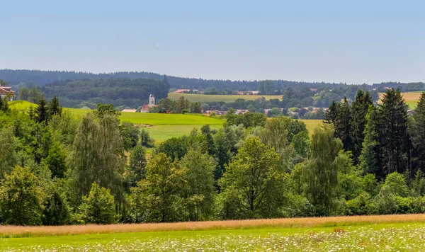 Idyllic Scenery Wiesenfelden Bavarian Forest Summer Time — Stock Photo, Image