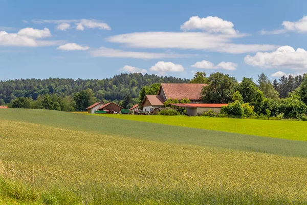 夏にはバイエルンの森のヴィーゼンフェルデン周辺の牧歌的な農業風景 — ストック写真