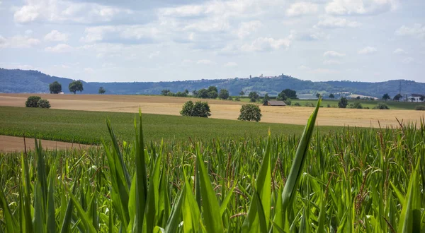 Αγροτικό Τοπίο Γύρω Από Kupferzell Στο Hohenlohe Καλοκαίρι — Φωτογραφία Αρχείου