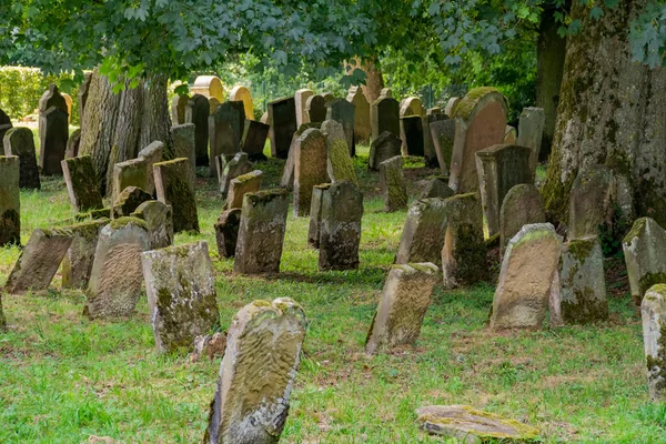 Historyczny Cmentarz Żydowski Pobliżu Berlichingen Hohenlohe Obszar Południowych Niemczech Okresie — Zdjęcie stockowe