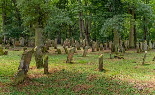 Historický Židovský Hřbitov Berlichingenu Hohenlohe Letním Období Jižní Části Německa — Stock fotografie