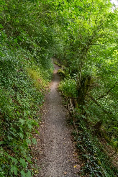 Piste Forestière Idyllique Dans Vallée Jagst Dans Sud Allemagne Heure — Photo