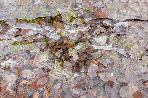 Fragmented Ice Natural Ground Seen — Stock Photo, Image