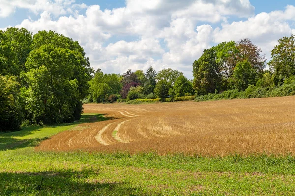 Sunny Rural Scenery Schwaebisch Hall Southern Germany — Stock Photo, Image