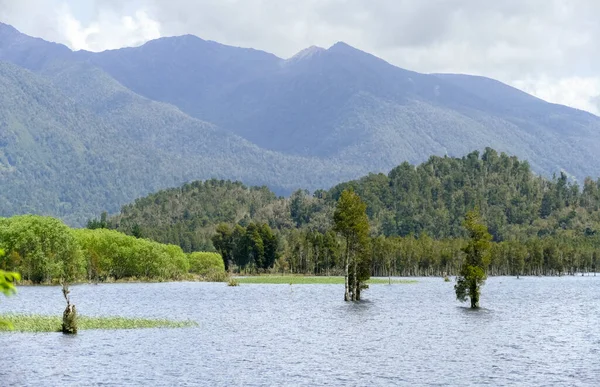 Impresión Natural Alrededor Del Lago Poerua Nueva Zelanda —  Fotos de Stock