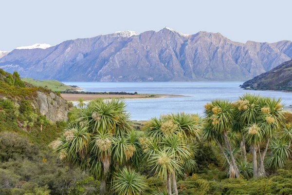 Cenário Idílico Torno Lago Hawea Nova Zelândia — Fotografia de Stock