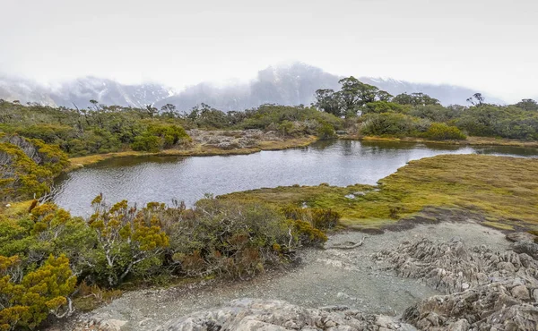 Krajobrazy Wokół Toru Key Summit Wyspie Południowej Nowej Zelandii — Zdjęcie stockowe