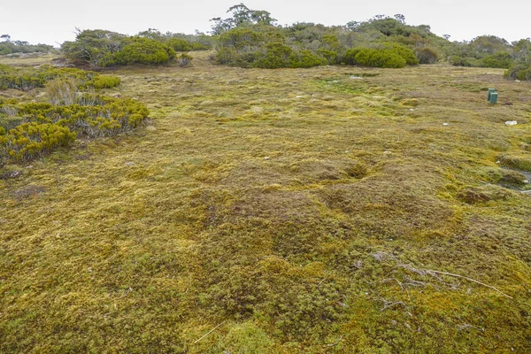 Landschap Rond Key Summit Track Het Zuidereiland Van Nieuw Zeeland — Stockfoto