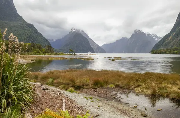 ニュージーランド南島のミルフォードサウンド周辺の自然景観 — ストック写真