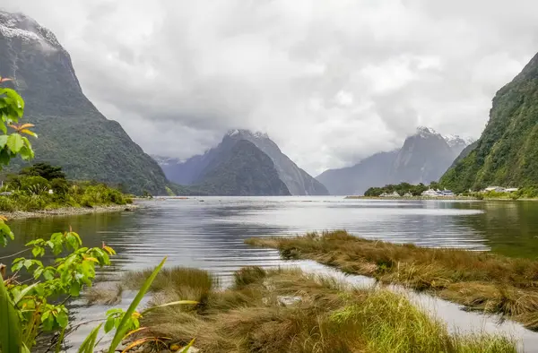 Natuurlijke Omgeving Rond Milford Sound Het Zuidereiland Van Nieuw Zeeland — Stockfoto