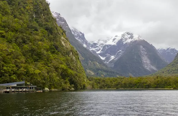 Natuurlijke Omgeving Rond Milford Sound Het Zuidereiland Van Nieuw Zeeland — Stockfoto