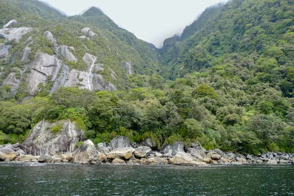 Natuurlijke Omgeving Rond Milford Sound Het Zuidereiland Van Nieuw Zeeland — Stockfoto