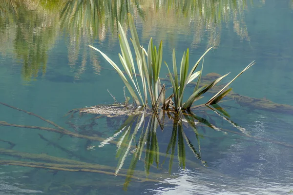 Природные Пейзажи Вокруг Озера Зеркало Новой Зеландии — стоковое фото