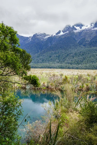 Natuurlijke Omgeving Rond Mirror Lake Nieuw Zeeland — Stockfoto