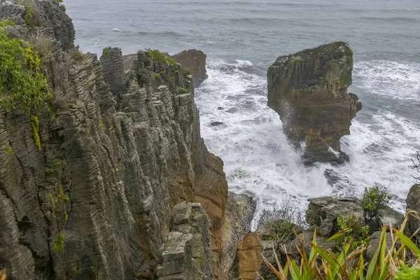 Landschaft Rund Die Pfannkuchen Felsen Paparoa Nationalpark Auf Der Südinsel — Stockfoto