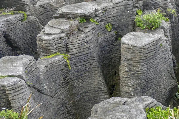 Paesaggio Intorno Pancake Rocks Paparoa National Park Dell Isola Del — Foto Stock