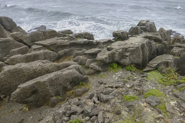 Landschap Rond Pannenkoek Rotsen Bij Paparoa National Park Het Zuidereiland — Stockfoto