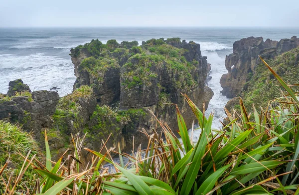 Scenery Pancake Rocks Paparoa National Park South Island New Zealand — Stock Photo, Image