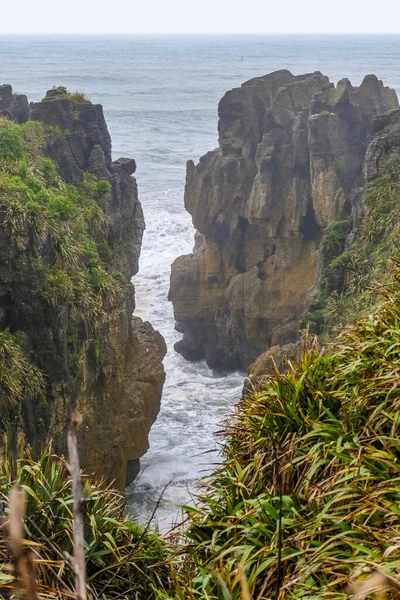 Paisaje Alrededor Las Pancake Rocks Parque Nacional Paparoa Isla Sur — Foto de Stock