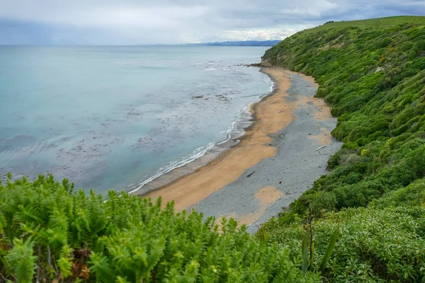 Secnery Playa Alrededor Oamaru Isla Sur Nueva Zelanda —  Fotos de Stock