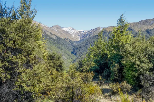 Scenery Mount Crichton Loop Track Otago New Zealand — Stock Photo, Image