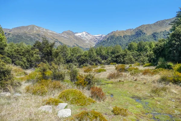 Landschap Rond Mount Crichton Loop Track Otago Nieuw Zeeland — Stockfoto