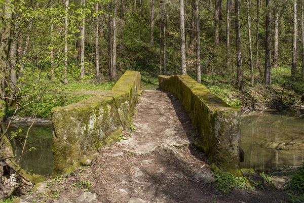 Historic Small Stone Bridge Kupfer River Southern Germany Early Spring — Stock Photo, Image