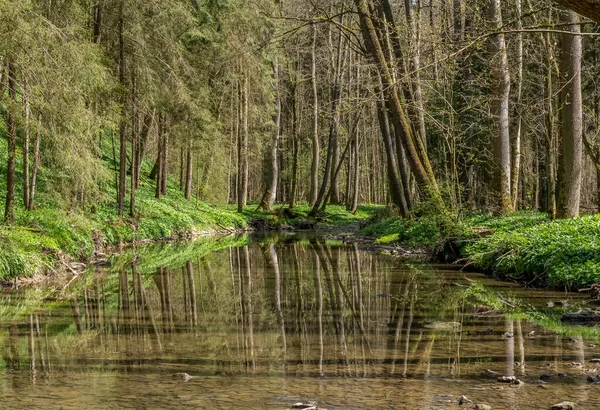 Idyllic Scenery River Kupfer Hohenlohe Area Southern Germany Early Spring — Stock Photo, Image