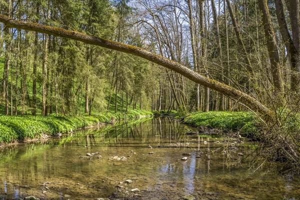 Idyllic Scenery River Kupfer Hohenlohe Area Southern Germany Early Spring — Stock Photo, Image