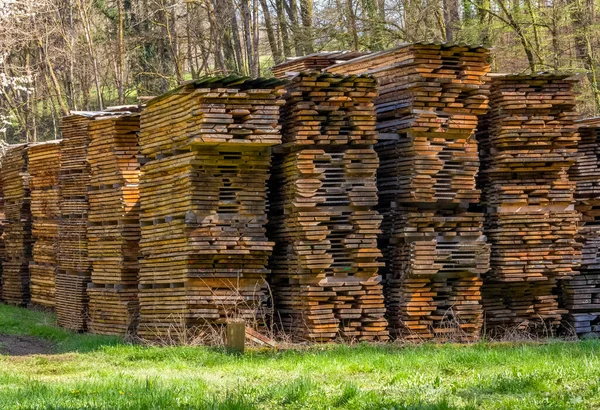 Viele Gestapelte Holzbretter Auf Einem Holzplatz Sonnigem Ambiente — Stockfoto