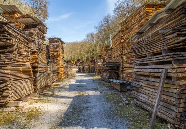 Viele Gestapelte Holzbretter Auf Einem Holzplatz Sonnigem Ambiente — Stockfoto