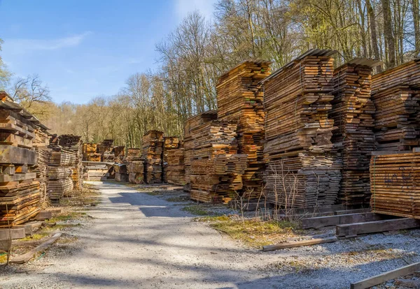 Veel Stapels Houten Planken Een Houtzagerij Een Zonnige Ambiance — Stockfoto