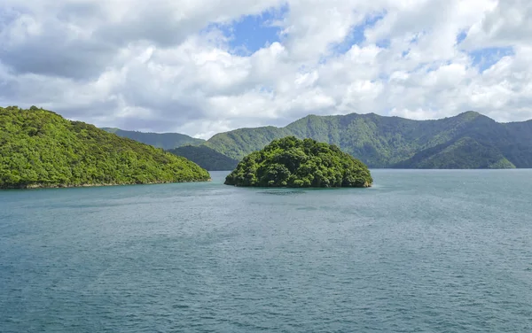 Впечатления Побережья Проливе Королевы Шарлотты Новой Зеландии — стоковое фото