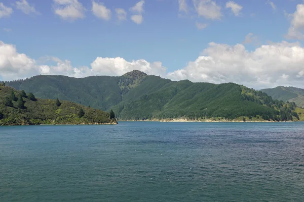 Pobřežní Dojem Queen Charlotte Sound Novém Zélandu — Stock fotografie