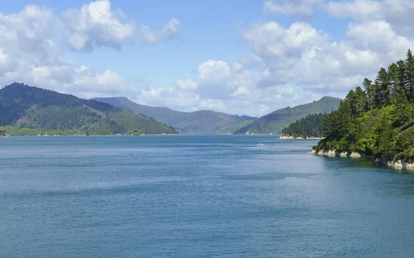 Pobřežní Dojem Queen Charlotte Sound Novém Zélandu — Stock fotografie