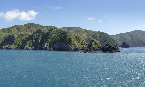 Берегове Враження Біля Затоки Королеви Шарлотти Нова Зеландія — стокове фото
