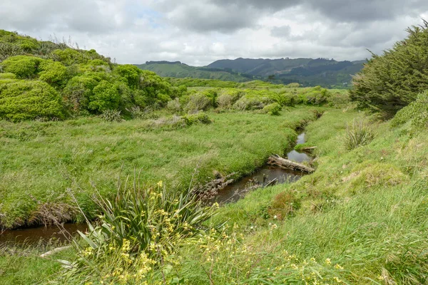 Scenery Whareroa Beach Queen Elizabeth Park New Zealand — Photo