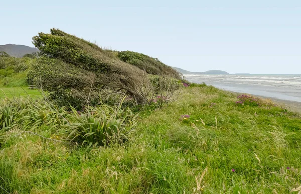 Paisagem Praia Whareroa Parque Queen Elizabeth Nova Zelândia — Fotografia de Stock