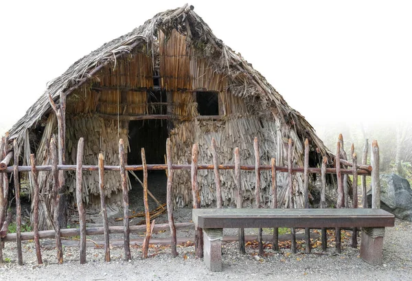 Casa Tradicional Maorí Vista Nueva Zelanda Parcialmente Aislada Espalda Blanca — Foto de Stock