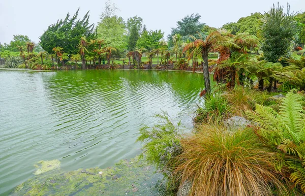 Yeni Zelanda Nın Rotorua Bölgesindeki Kuirau Parkı Nda Jeotermal Gölet — Stok fotoğraf