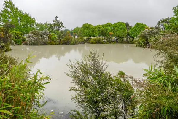 Geothermal Pond Kuirau Park Rotorua Region New Zealand — Stockfoto