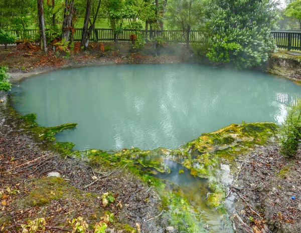 Yeni Zelanda Nın Rotorua Bölgesindeki Kuirau Parkı Nda Jeotermal Gölet — Stok fotoğraf