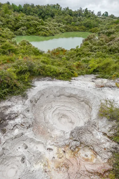 Scenery Geothermal Valley Puia New Zealand — Stock fotografie