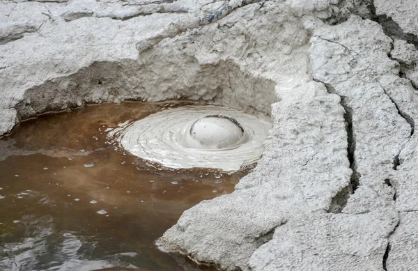 Lera Pool Närbild Landskap Runt Den Geotermiska Valley Puia Nya — Stockfoto