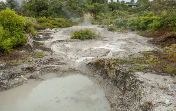 新西兰地热河谷Te Puia周围的景观 — 图库照片
