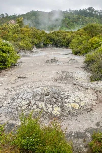 Landskap Runt Den Geotermiska Dalen Puia Nya Zeeland — Stockfoto